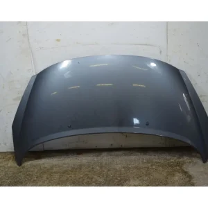 Cofano anteriore Peugeot 207 Dal 2006 al 2009 COD 7901N2 Nuova Collezione
