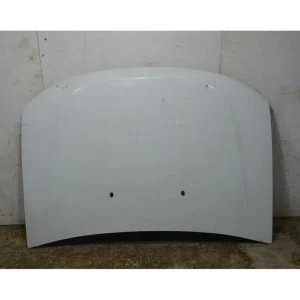 Offerta Lampo Cofano Anteriore Dacia Duster Dal 2010 al 2017 Cod 651000987R