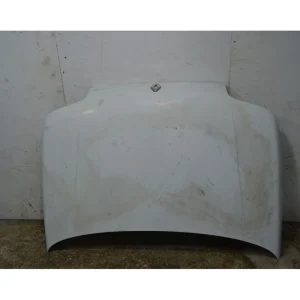 Cofano Anteriore Renault Clio Dal 1990 al 1998 Cod 7751469434 Ordina Subito