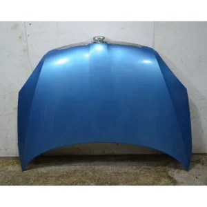 Prezzo Di Fabbrica Cofano Anteriore Skoda Roomster Dal 2006 al 2015 Cod 5J0823031A