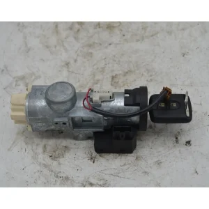 Quantità Limitata Blocchetto Avviamento Nissan X-Trail Dal 2001 al 2007 Cod 5WK48042A