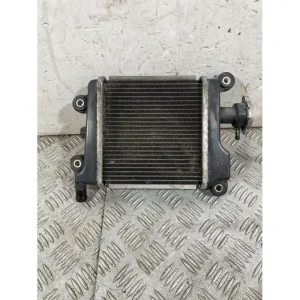 Radiatore Yamaha Xenter 125 / 150 Dal 2011 al 2018 Occasione Imperdibile