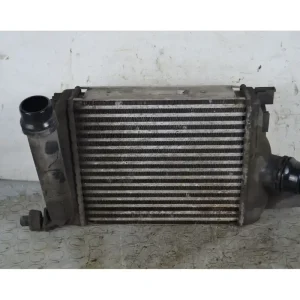 Compra Oggi Stesso Radiatore Intercooler Dacia Duster Dal 2010 al 2017 Cod 144967634R