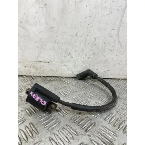 Bobina Accensione Yamaha Xenter 125 / 150 Dal 2011 al 2018 COD 52S-00 Compra Online
