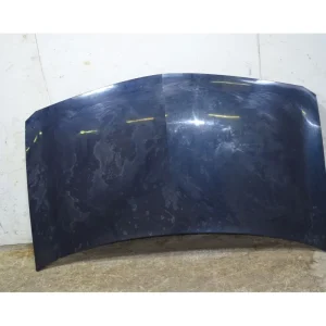 Spedizione Espresso Cofano Anteriore Renault Megane Dal 2002 al 2010 Cod 7751476151