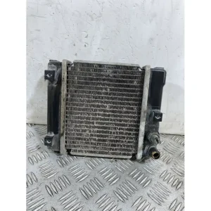 Radiatore Kymco People GT 300 Dal 2010 al 2017 COD U05121-10000 Vendita Finale