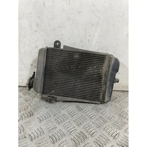 Radiatore Honda SH 300 dal 2011 al 2013 Consegna Rapida