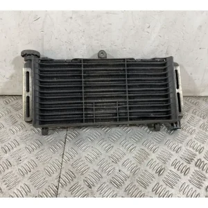 Radiatore Honda Hornet 600 Dal 2005 al 2006 Prezzo Ridotto