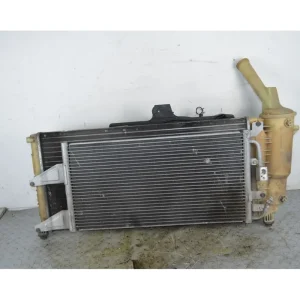 Compra Adesso Radiatore Acqua Fiat Punto Dal 1999 al 2003 Cod 08042035