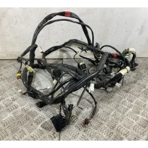 Cablaggio Impianto Elettrico Aprilia Scarabeo 500 dal 2007 al 2012 Ultima Occasione