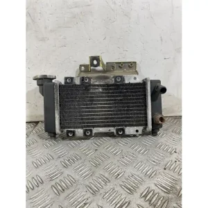 Popolare Radiatore SYM HD2 200 Dal 2010 Al 2017