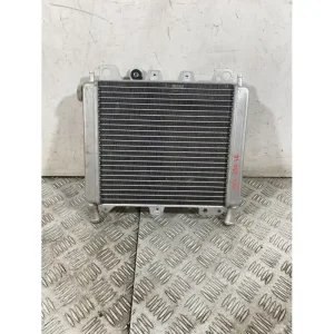 Nuova Collezione Radiatore Aprilia Scarabeo 250 dal 2006 al 2012