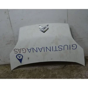 Cofano Anteriore Citroen Nemo Dal 2008 al 2013 Cod 7901Q1 Popolare