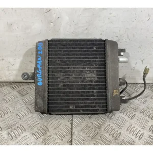 Radiatore Suzuki Burgman 200 dal 2001 al 2014 Nuovo Arrivo