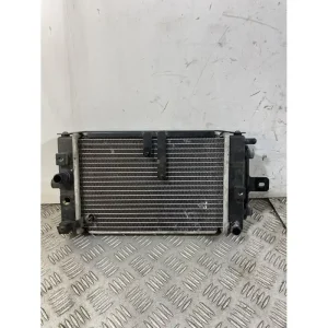 Compra Adesso Radiatore Adiva AD 3 300 Del 2020