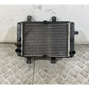 Radiatore Sym Joymax 300 Dal 2012 al 2018 A Buon Prezzo