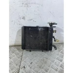 Radiatore Aprilia Scarabeo Light 200 dal 2007 al 2013 Esclusivo