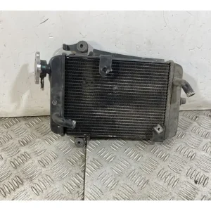 Radiatore Honda SH 300 Dal 2011 al 2013 A Buon Prezzo