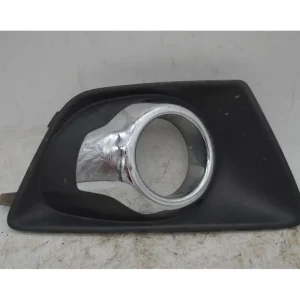 Griglia Fendinebbia Anteriore DX Ford Ecosport Dal 2014 al 2018 Cod CN15-15A298-AA Ultima Occasione