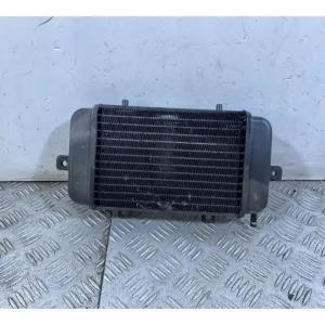 Super Prezzo Radiatore BMW C1 200 dal 2001 al 2002