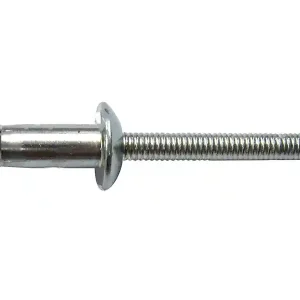 Professionale Rivetti strutturali in acciaio D. 6,4mm Rivit Lockriv OFFT con testa tonda,(250pz)