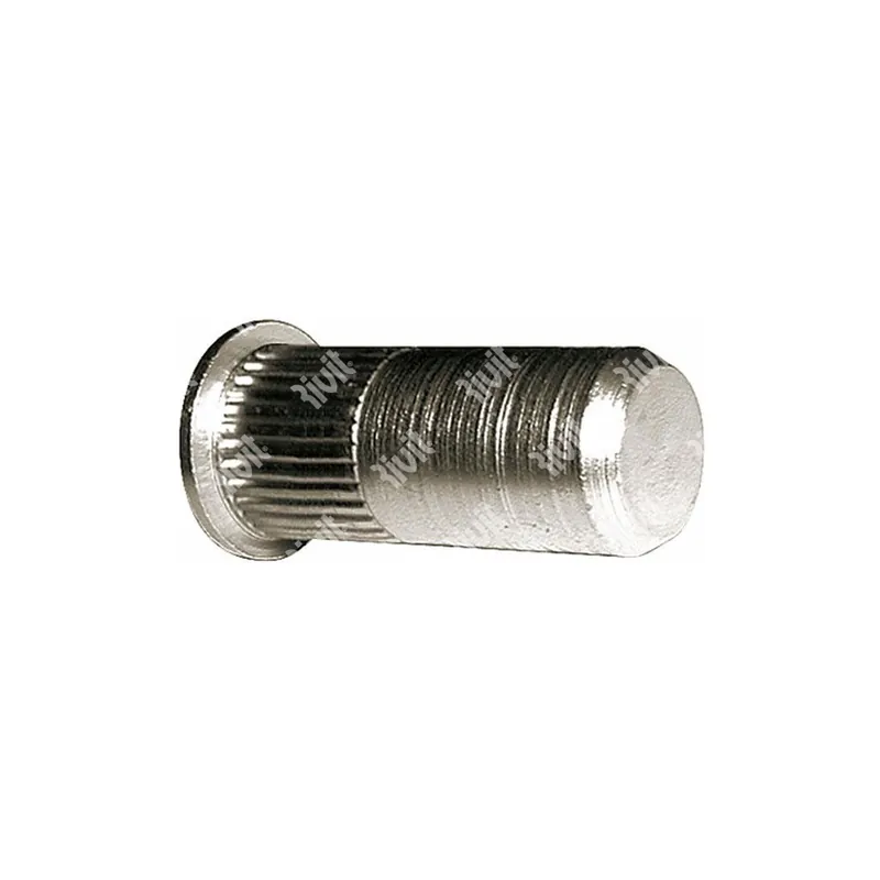 Inserti filettati inox M10 A2 Rivit Rivsert SITC-Z-A2 cilindrici zigrinati ciechi testa tonda (50pz) Più Venduto