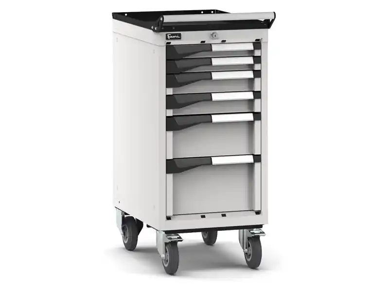Offerta Speciale Carrello portautensili Fami Master con 6 cassetti ad estrazione regolabile grigio, 408x573x922mm