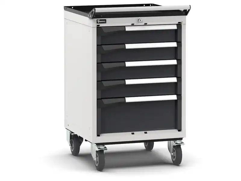 Reso Gratuito Carrello portautensili Fami Master con 5 cassetti ad estrazione regolabile bicolore, 561x573x922mm
