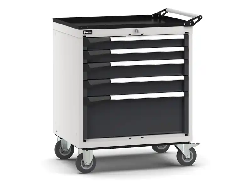 Ordina Subito Carrello portautensili Fami Master con 5 cassetti ad estrazione regolabile bicolore, 714x573x922mm