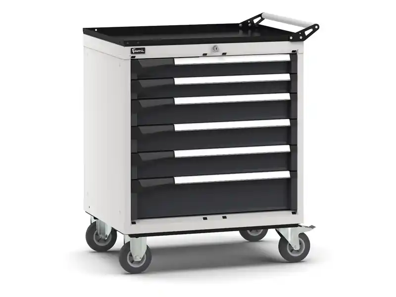 Carrello portautensili Fami Master con 6 cassetti ad estrazione regolabile bicolore, 714x573x922mm Offerta Speciale