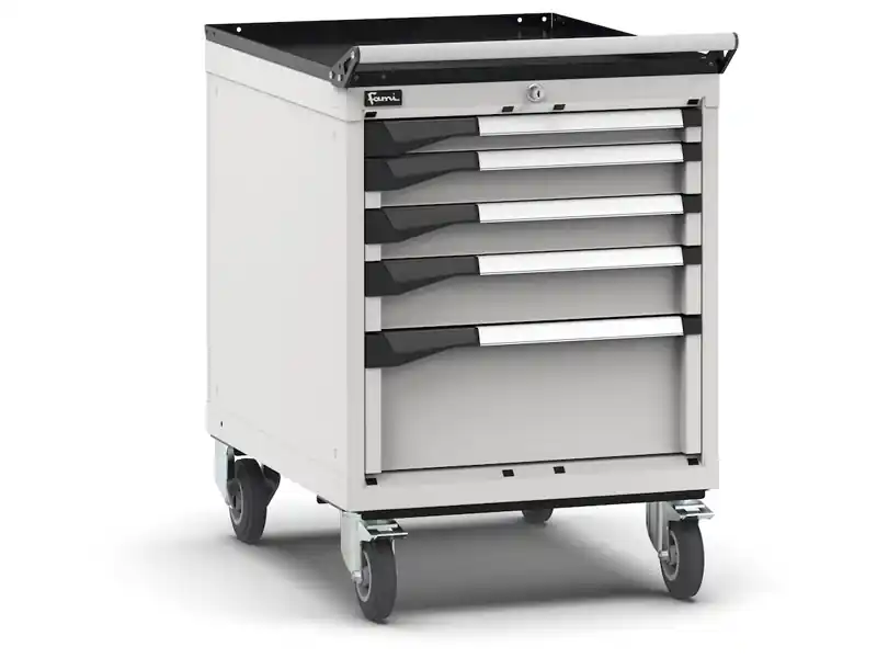 Ordina Subito Carrello portautensili Fami Master con 5 cassetti ad estrazione regolabile grigio, 561x726x822mm