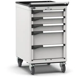 Ultime Pezzi Carrello portautensili Fami Master con 5 cassetti ad estrazione regolabile grigio, 561x726x1022mm