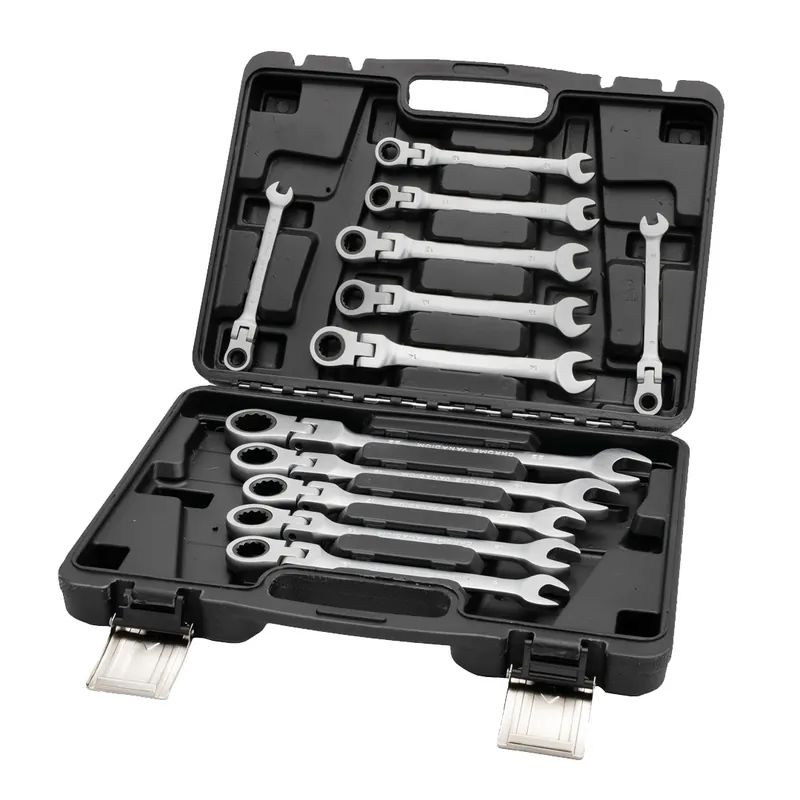 Subito Disponibile Set di chiavi combinate con cricchetto - flessibile da 8 a 22 mm - 12 pezzi