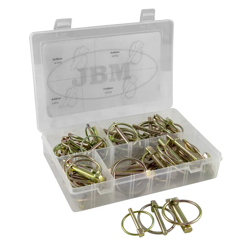 Assortimento di perni di bloccaggio con anello da M4.5 a M11 - 50 pezzi JBM Super Prezzo