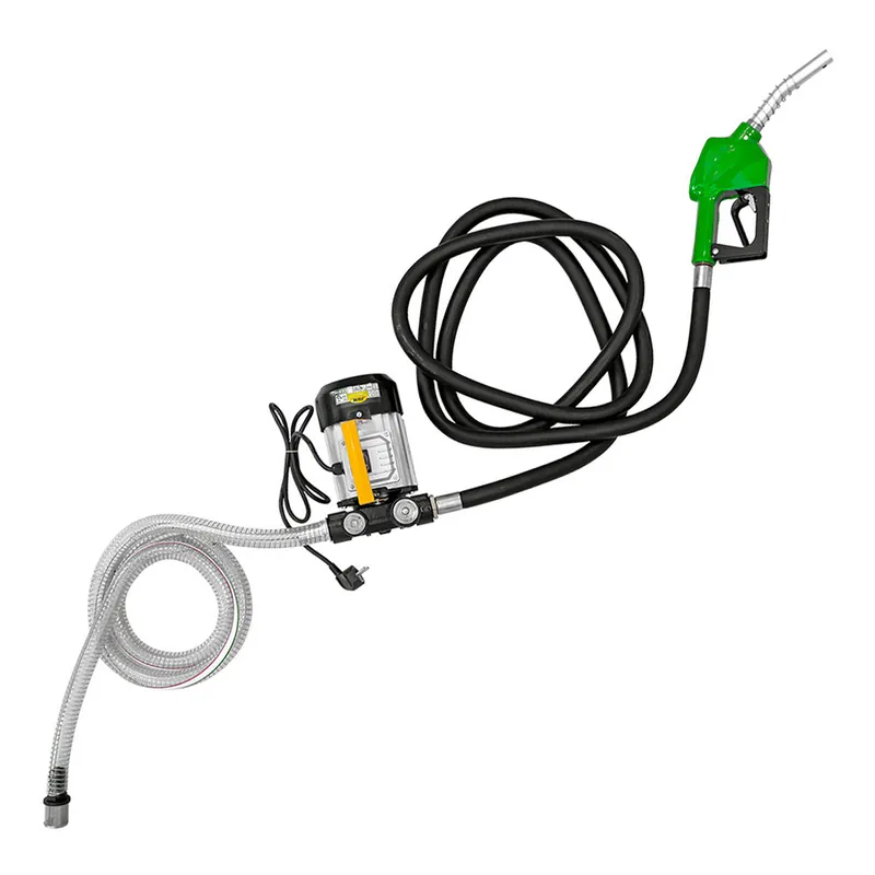 Solo Oggi Pompa elettrica per travaso di gasolio, 60 L/min 220V JBM