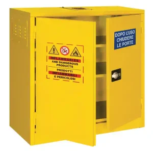 Armadio di sicurezza monoblocco Carvel 1000x460x1000mm per liquidi infiammabili e solventi Prezzo Basso