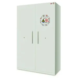 Armadio coibentato Carvel 1200x600x1950mm per liquidi infiammabili resistenza fuoco Type90 Vendita Finale