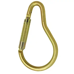 Moschettone con Captive Eye 3M Protecta AJ593 per sistemi anticaduta, apertura 50mm Consegna Rapida