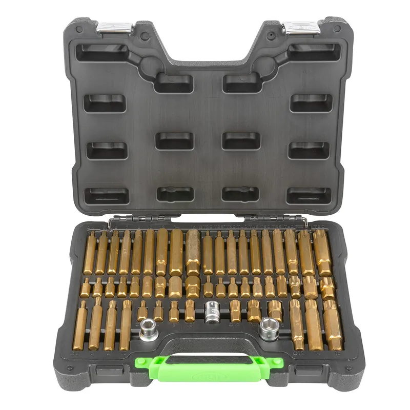 Set di bit ad alte prestazioni Torx, Hex e XZN – 55 pezzi Offerta Limitata