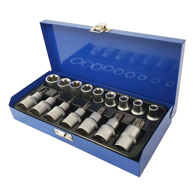 Set di bussole e punte a E24 e T70 1/2" E-Torx e Torx CrV 17 pezzi Compra Oggi Stesso