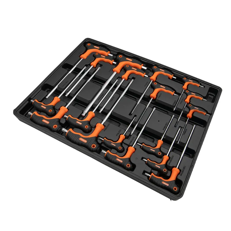 Inserto portautensili 52x39 - Chiavi a T Allen e Torx - 18 pezzi Prezzo Ridotto