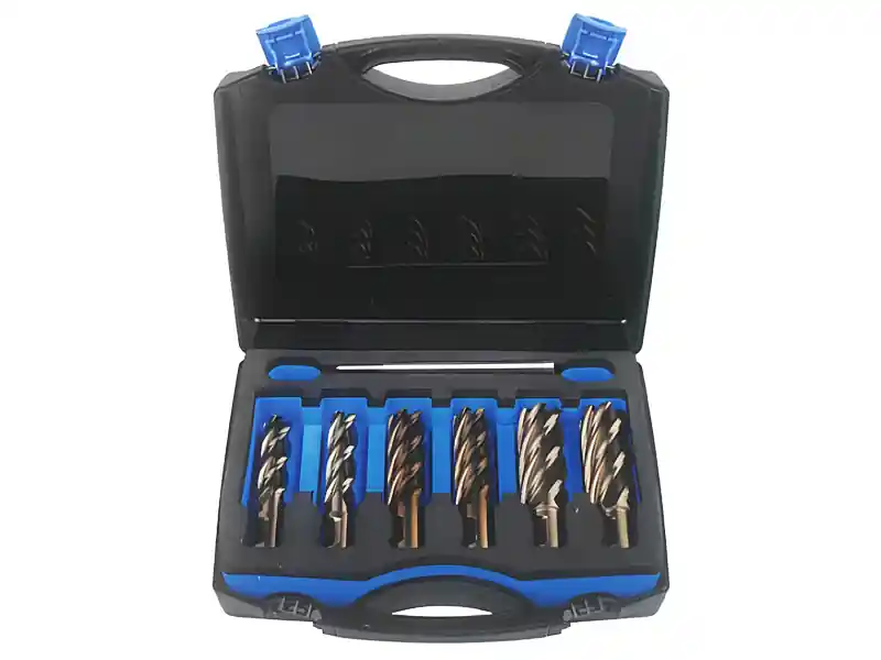 Assortimento 6 frese a carotare lunghe Krino in HSS-CO 5% con attacco Weldon in valigetta, 14-22mm Saldi