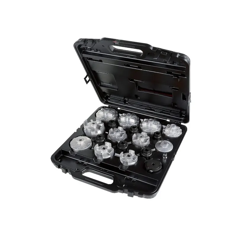 Serie di 18 chiavi a bussola per filtri olio Particolarmente indicate per auto asiatiche - Beta 1493/C19 Offerta Lampo
