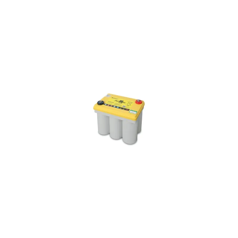 Batteria di ricambio 12V per avviatore 1498PRO/12V - Beta 1498PRO/12-R01 Scelto Dai Clienti