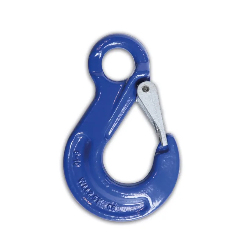 Professionale Ganci di sollevamento ad occhio grado 10 - Robur 8052/G10