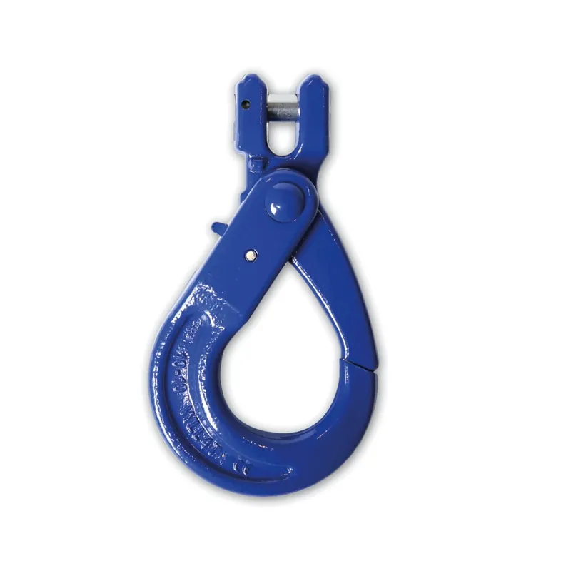 Offerta Speciale Ganci self-locking a forcella grado 10 - Robur 8058R/G10