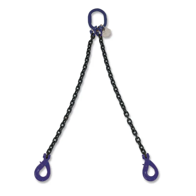 Miglior Prezzo Pendente catena 2 bracci Self-Locking G10 - Robur 8092SL/G10