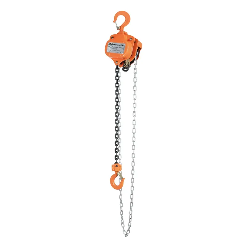 Paranco manuale a catena 1 t x 3 m - Robur 8143 1,0 Prezzo Ridotto